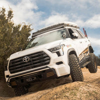 3rd Gen Sequoia
