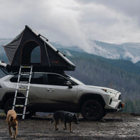 Prinsu - Toyota RAV4 Roof Rack - 2019-2020 - 4WD CREW