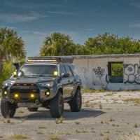 Atlas | Satin Textured Bronze