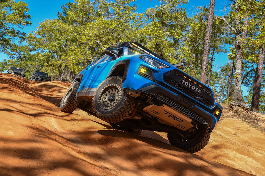 VENTURE | Satin Bronze