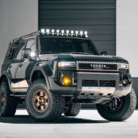 Rear Lower Trailing Arms

