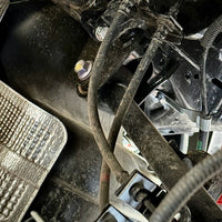 Steady trend with summer peak 