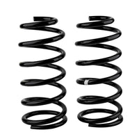

Black powder-coated Old Man Emu rear coil spring