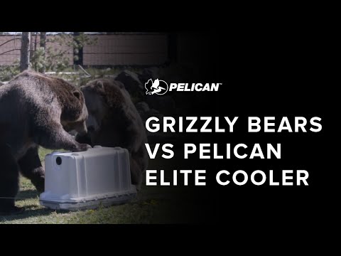 Pelican - 70QT Elite Cooler