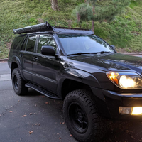 Rocker Panel Protection